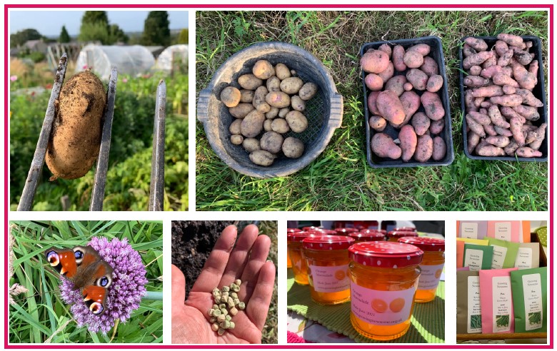 Huddersfield Seed Swap and Potato Day